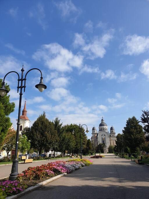 Zen By Downtown Apartments Târgu-Mureş Εξωτερικό φωτογραφία