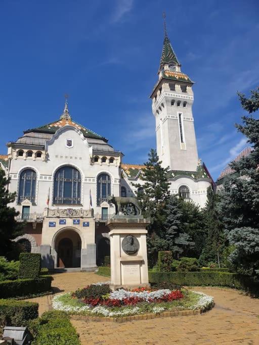 Zen By Downtown Apartments Târgu-Mureş Εξωτερικό φωτογραφία